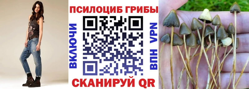 MEGA ONION  Баймак  Галлюциногенные грибы MAGIC MUSHROOMS 